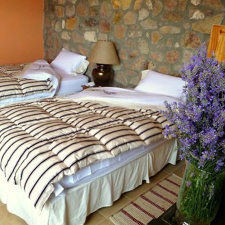 Villa La Calandria Casa De Campo à Puerto Madryn Chambre photo